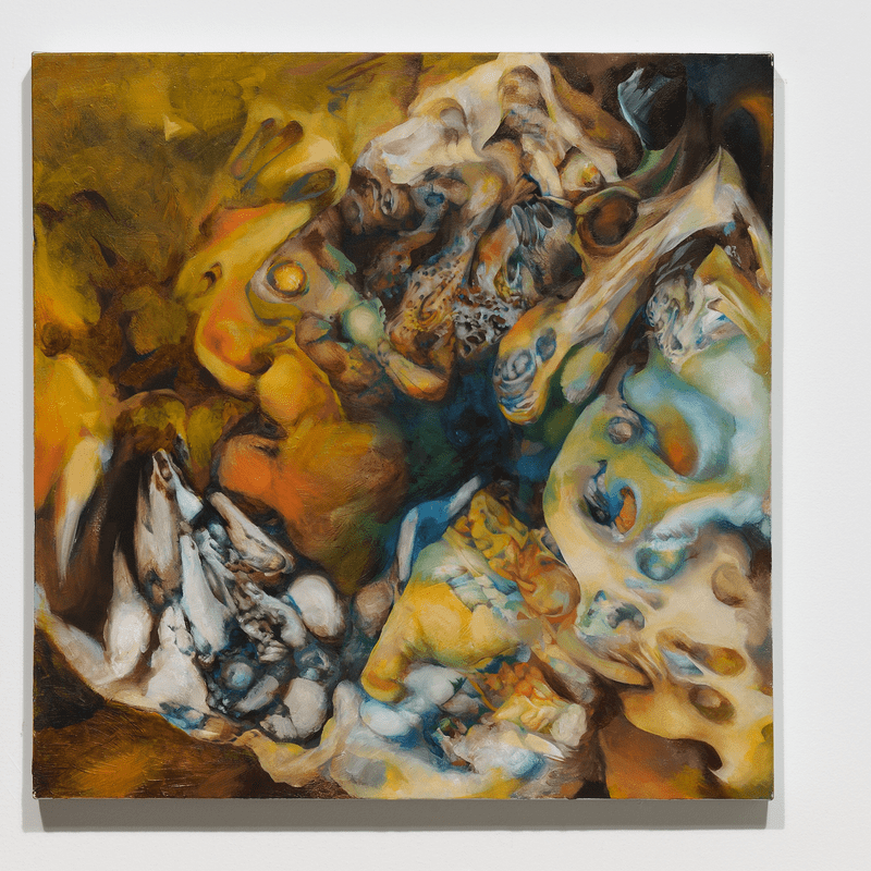 SU, 2011, Oil on canvas, 24 x 24 in